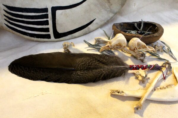 Spiritual Prayer Feather, Smudge Feather Native - Imagen 2