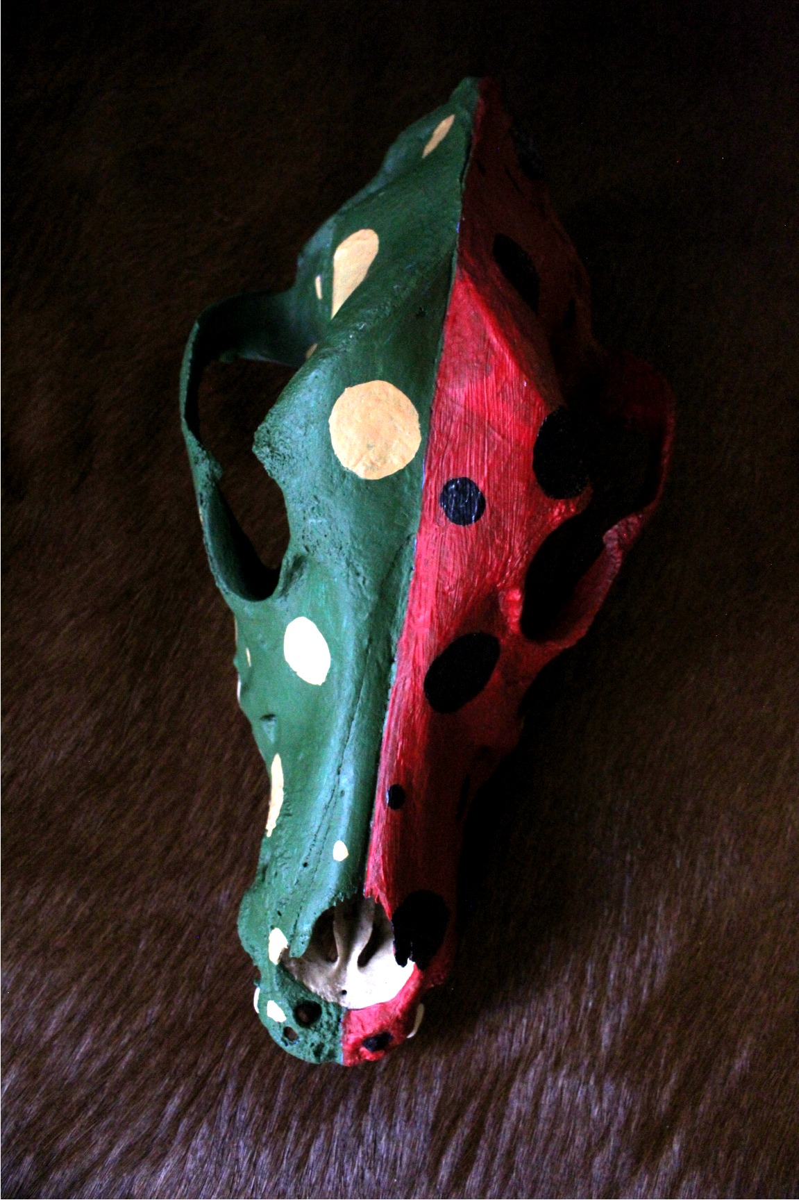 Ceremonial Skull, Shaman Native American - Imagen 2