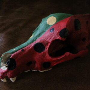Ceremonial Skull, Shaman Native American