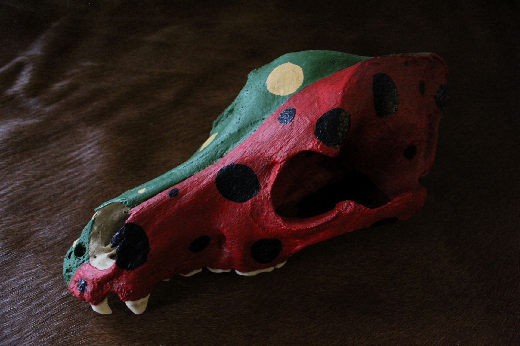 Ceremonial Skull, Shaman Native American