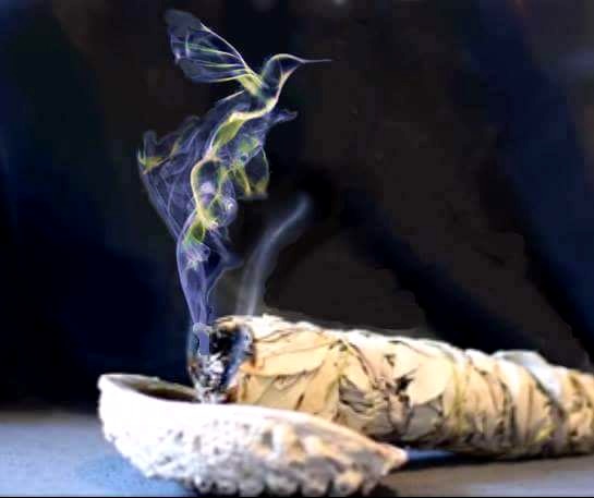 White Sage Bundle 10 cm. - Imagen 3