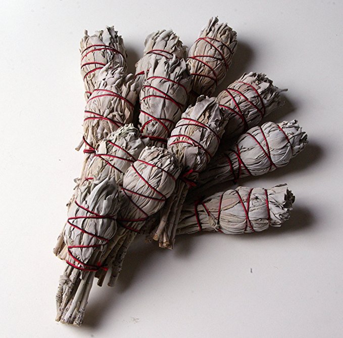 White Sage Tulip - Imagen 2