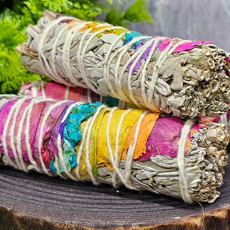 White Sage Rose Bundle 10 cm. - Imagen 2