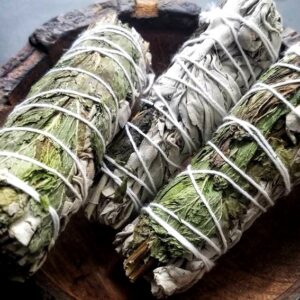 White Sage Pippermint Bundle 10 cm.