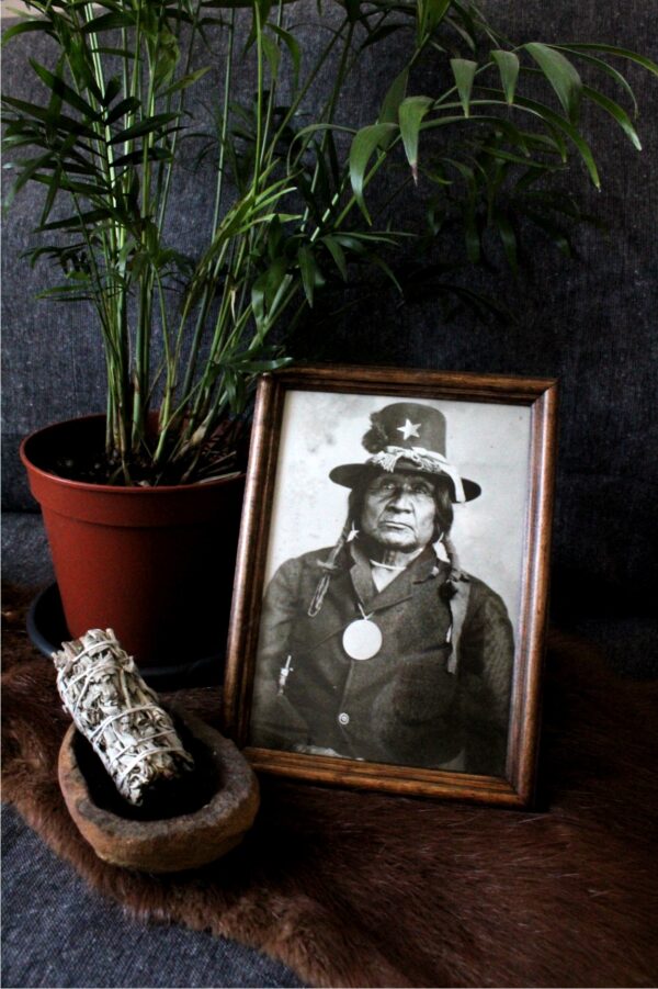 Tasawi Comanche Chief, Image with Frame Included - Imagen 4