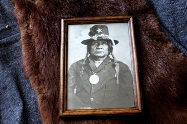 Tasawi Comanche Chief, Image with Frame Included - Imagen 2