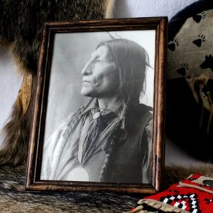 Chief Wolf Robe, Image with Frame Included
