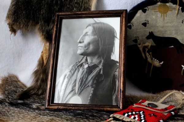 Chief Wolf Robe, Image with Frame Included