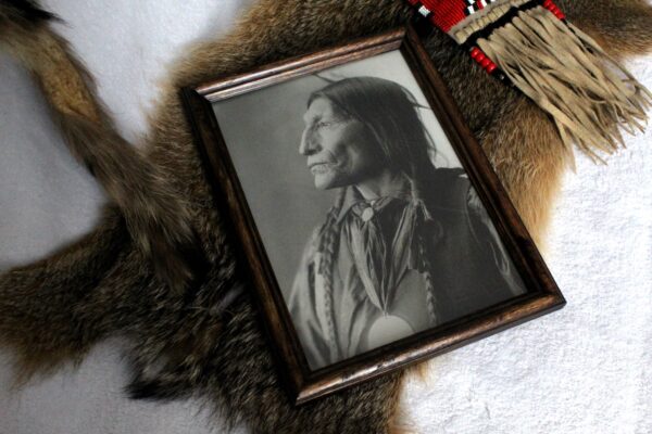 Chief Wolf Robe, Image with Frame Included - Imagen 2