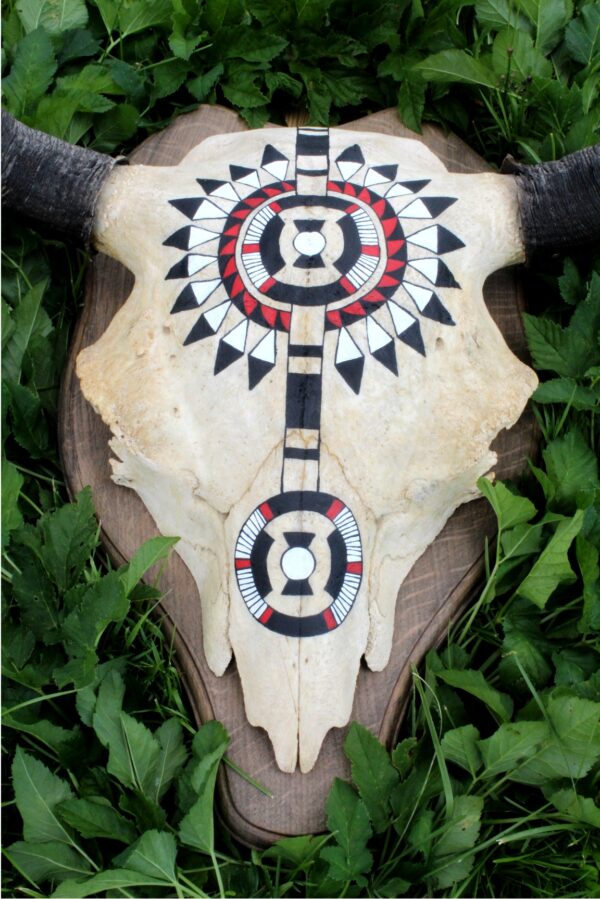 Hand Painted Buffalo Skull - Imagen 8