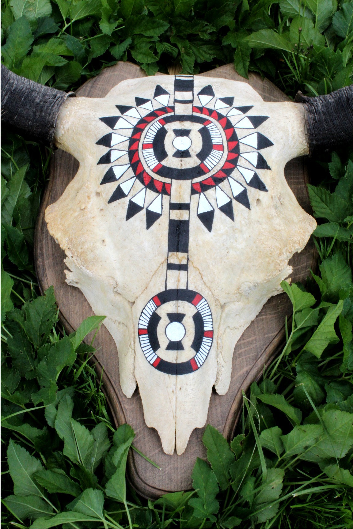 Hand Painted Buffalo Skull - Imagen 8