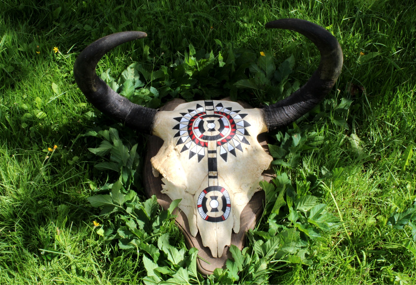 Hand Painted Buffalo Skull - Imagen 7