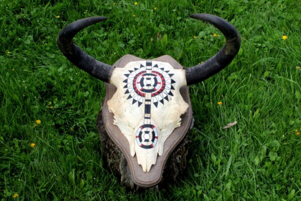 Hand Painted Buffalo Skull - Imagen 4