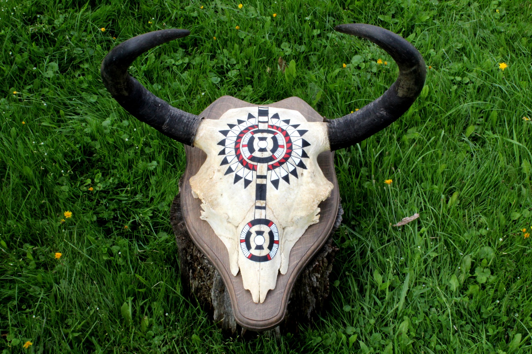 Hand Painted Buffalo Skull - Imagen 4