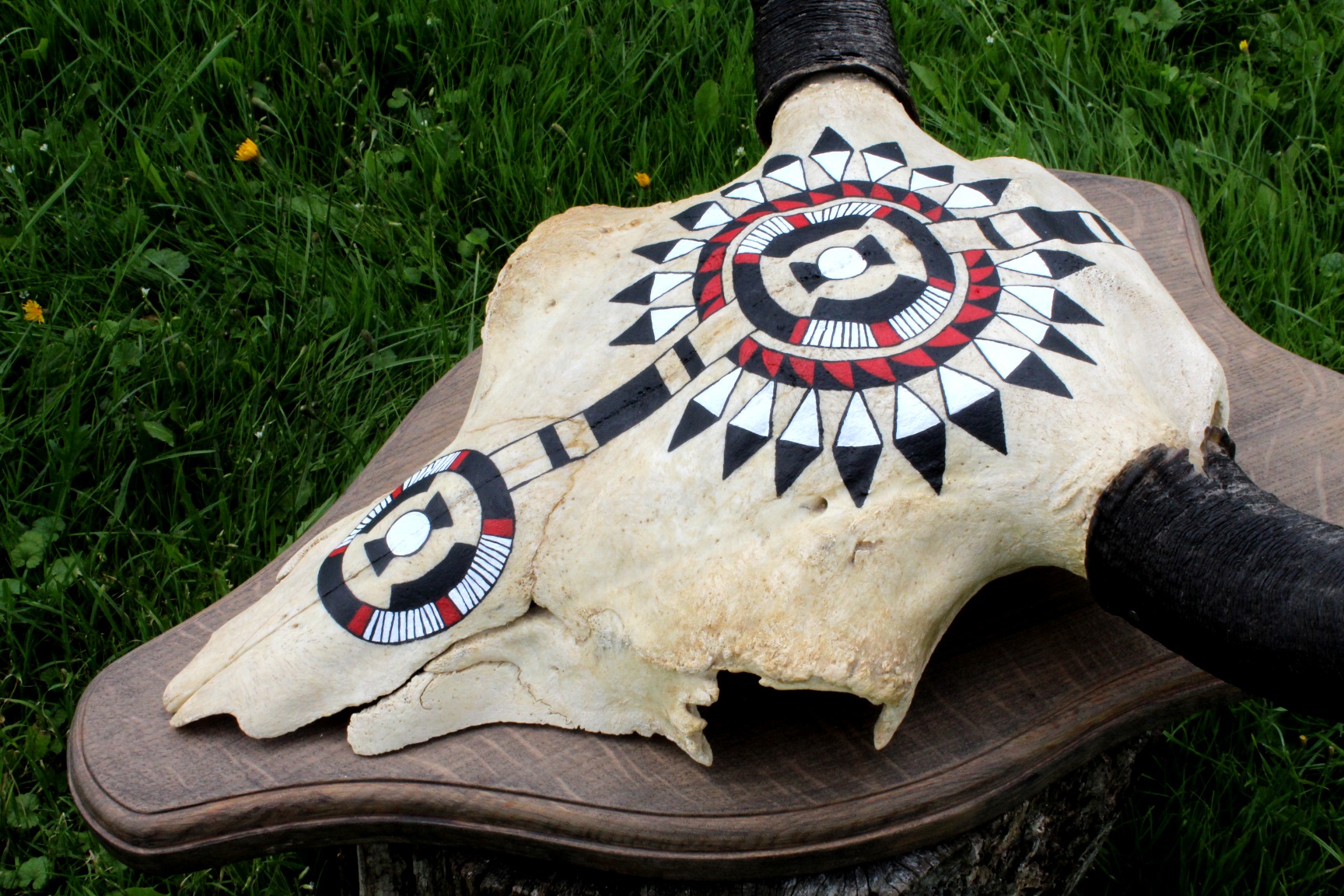Hand Painted Buffalo Skull - Imagen 3
