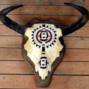 Hand Painted Buffalo Skull