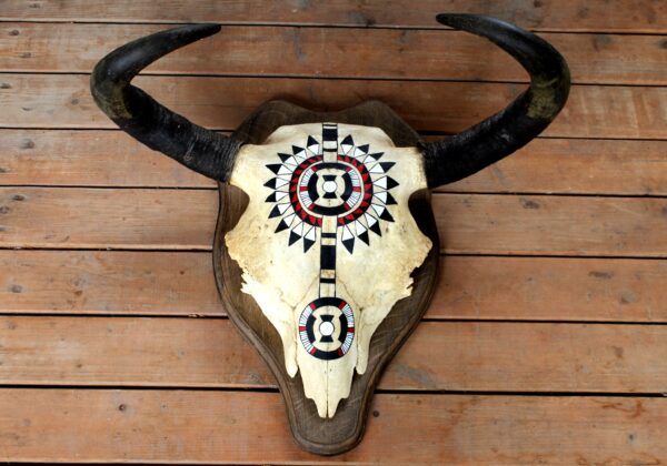 Hand Painted Buffalo Skull