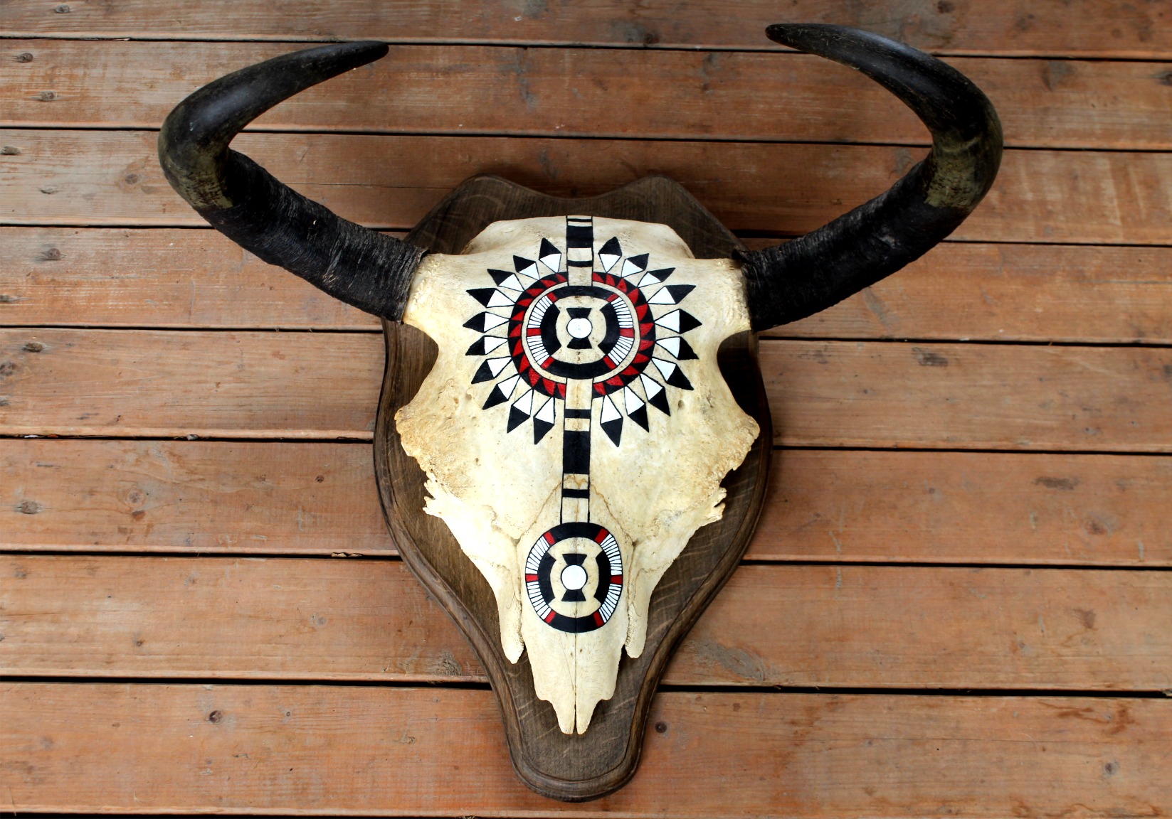 Hand Painted Buffalo Skull