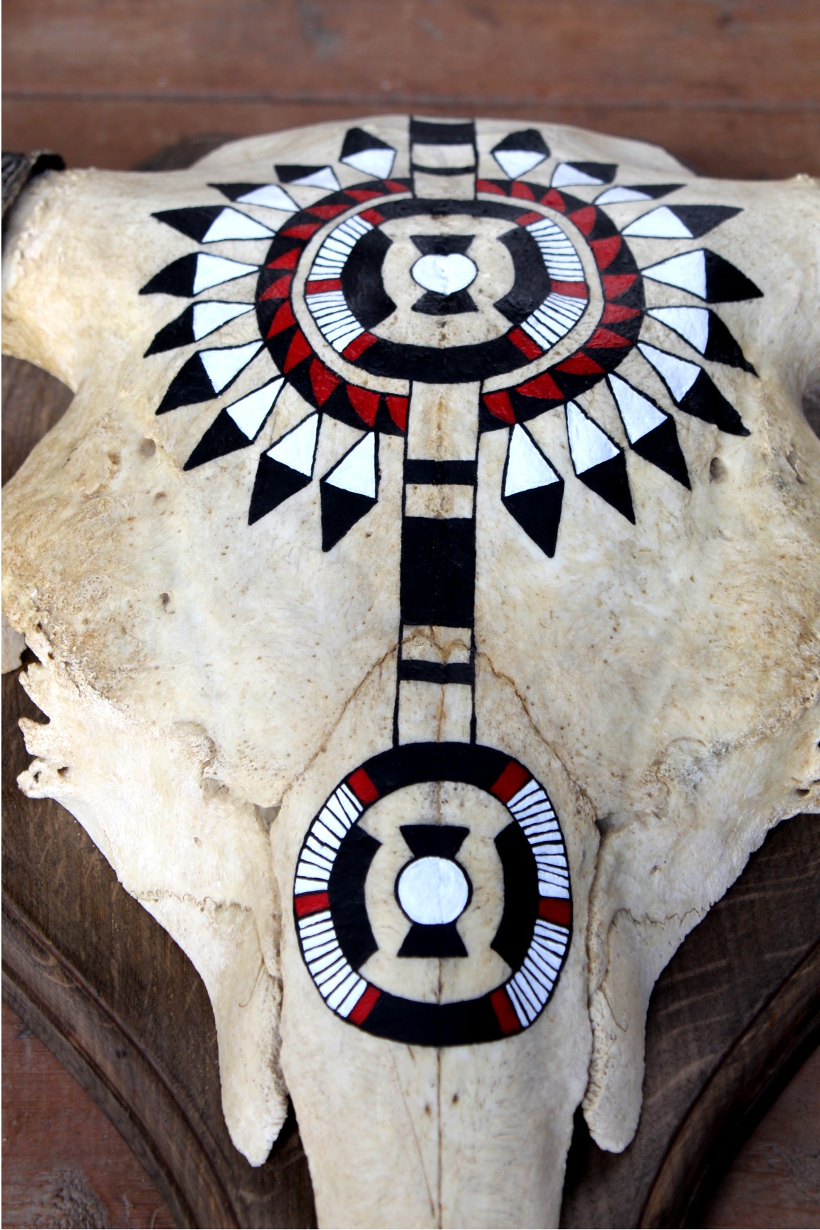 Hand Painted Buffalo Skull - Imagen 2
