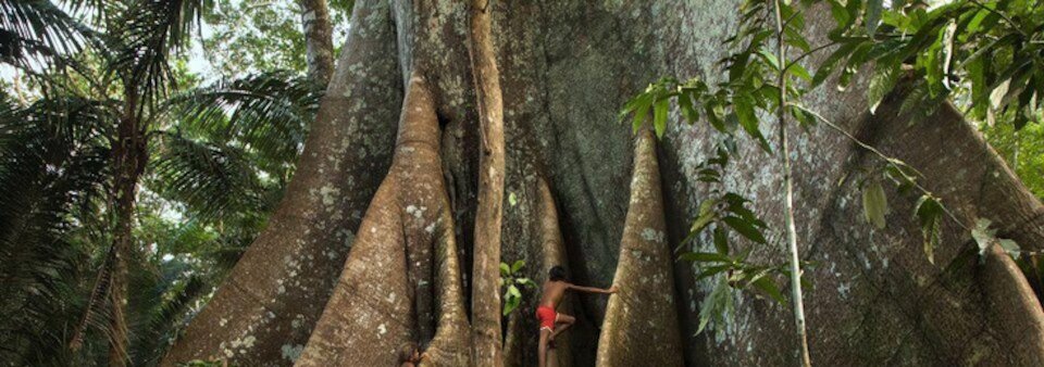 Rapé Samauma (Very, very Strong) - Imagen 4